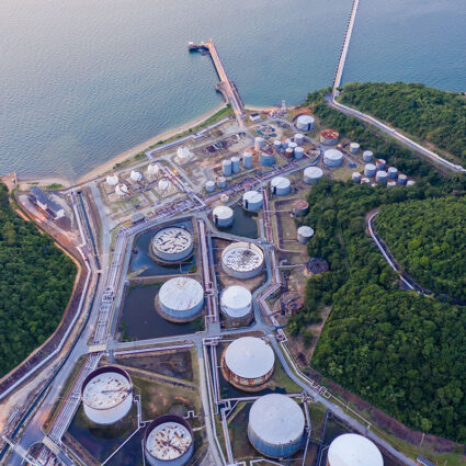 Compagnie Algérienne de Distribution