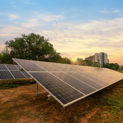 Augue parturient molestie vehicula